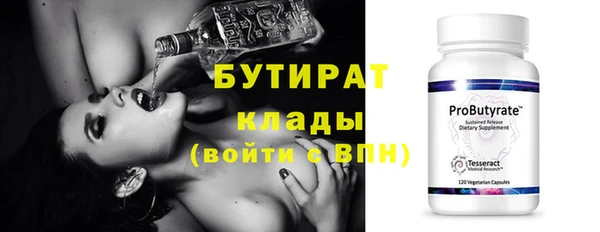 индика Гусев