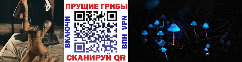 Псилоцибиновые грибы прущие грибы  ОМГ ОМГ ссылки  маркетплейс формула  Бабаево 
