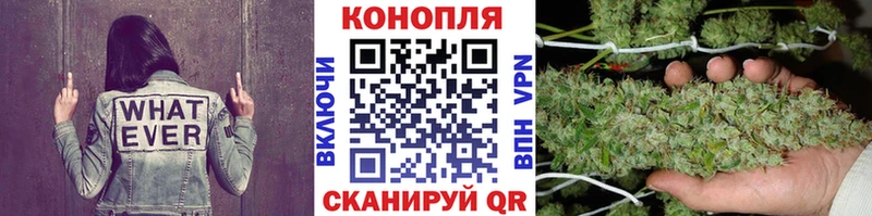 как найти наркотики  Бабаево  Шишки марихуана тримм 